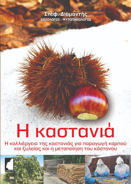 Η ΚΑΣΤΑΝΙΑ