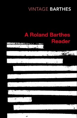 VINTAGE CLASSICS : A Roland Barthes Reader PB
