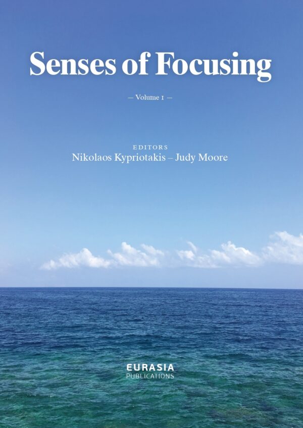 SENSES OF FOCUSING, v.I